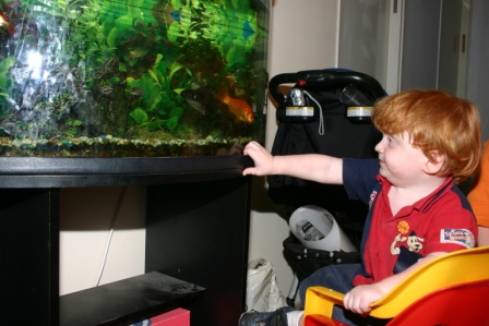 yael's party 142.jpg